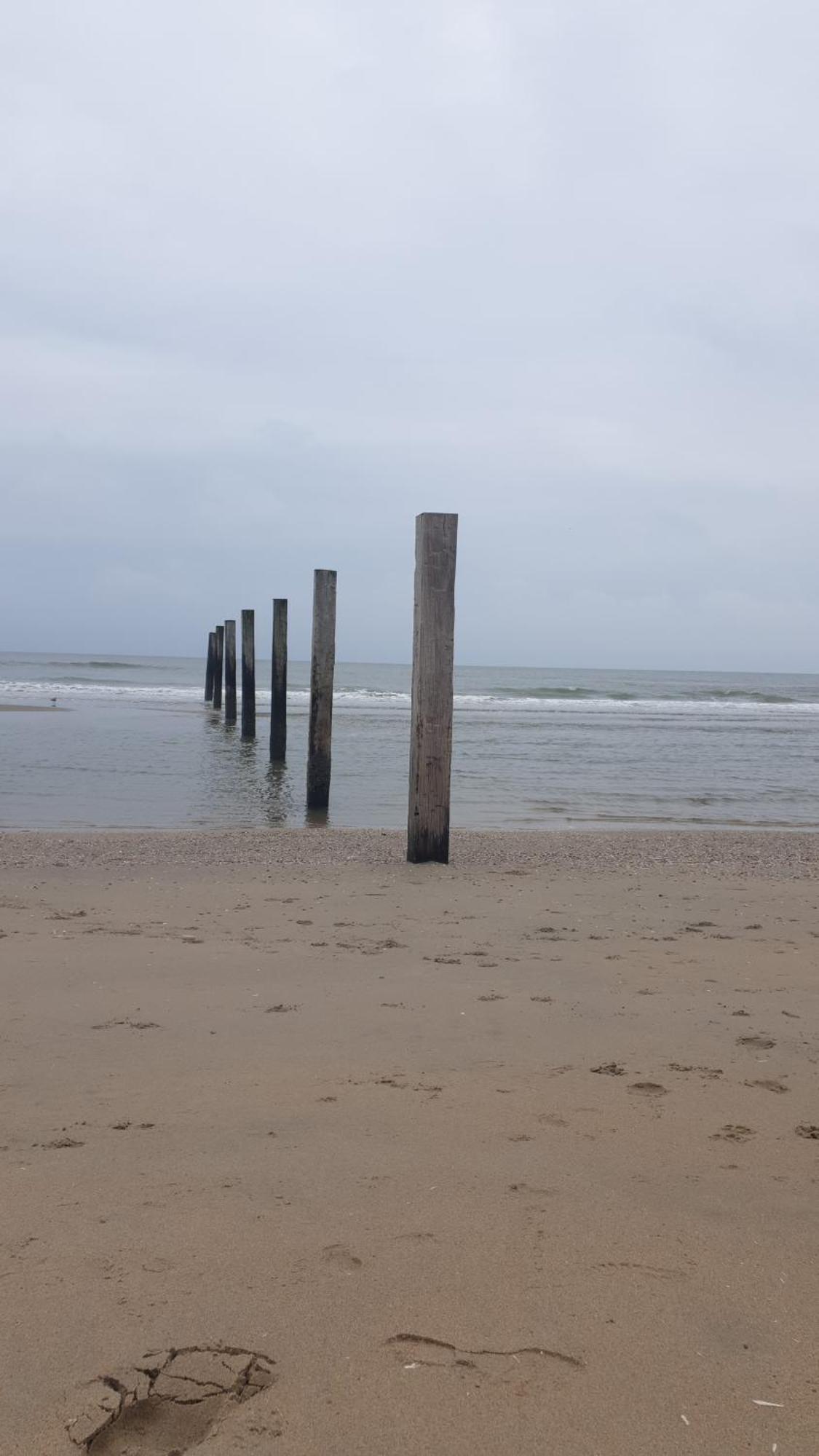 Rembrandts Beach View Zandvoort Kültér fotó
