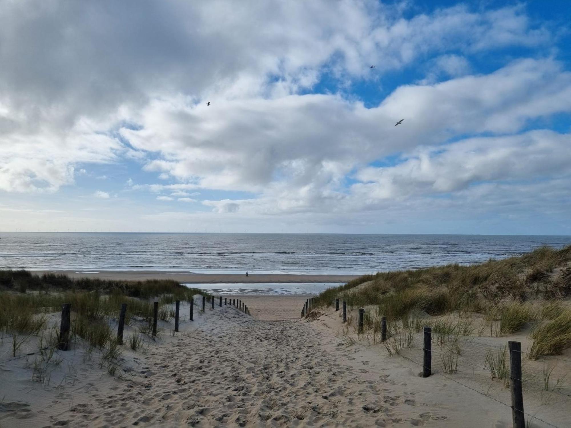 Rembrandts Beach View Zandvoort Kültér fotó